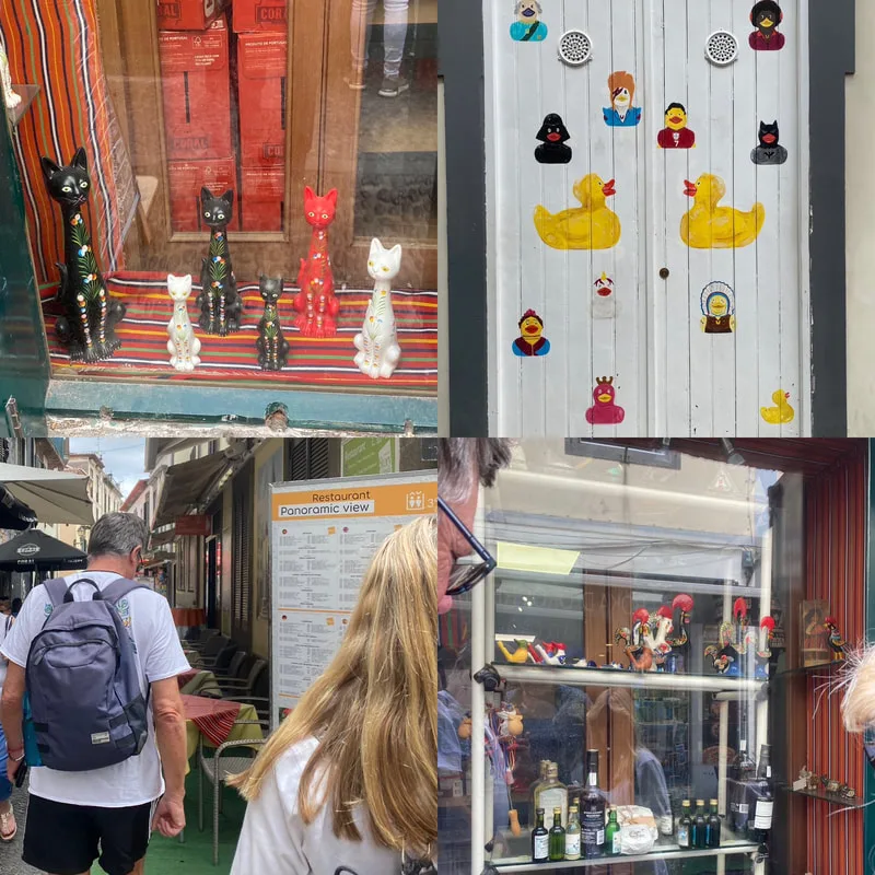 Cats, rubber Duckie stickers on a door, the backs of Dave & Kay, roosters on display in Funchal, Portugal by Angeline Marie Martinez