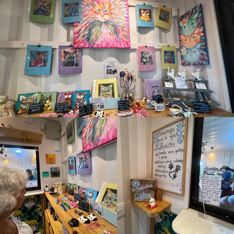 merchandise at the Coffee Cat Cafe