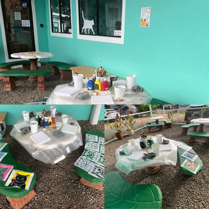 Painting class set up at Coffee Cat Cafe by Angeline Marie Martinez